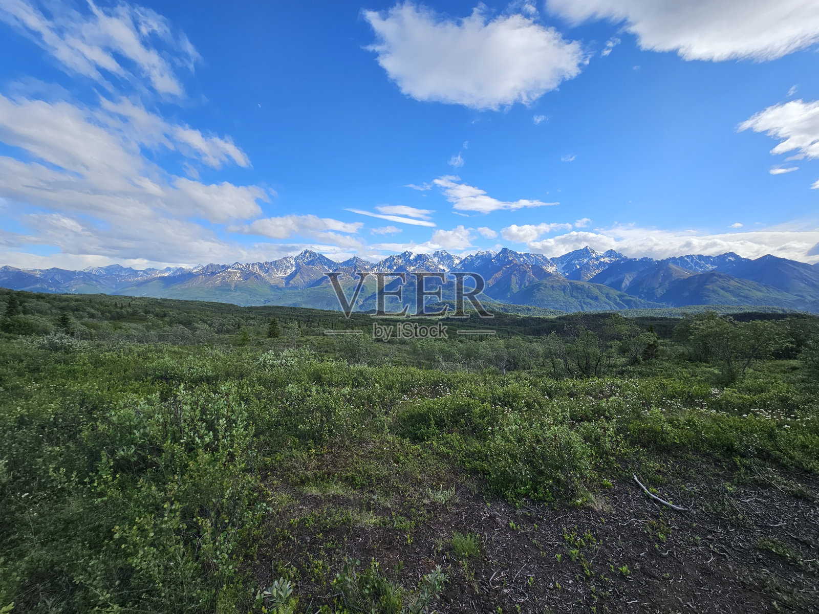 夏天楚加奇山脉照片摄影图片