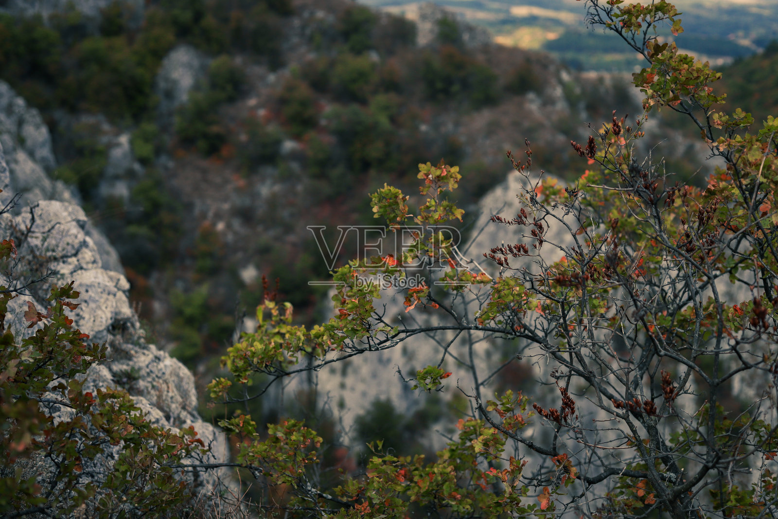 索科格勒是一个旅游胜地，拥有美丽的自然风光照片摄影图片