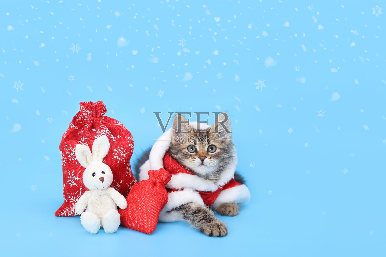 圣诞猫坐在一只小白兔旁边。新年购物，打折理念。雪落照片摄影图片