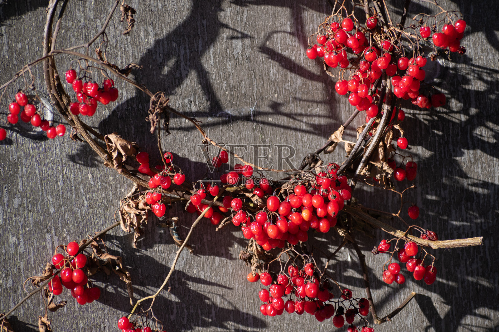 用红浆果装饰的花环照片摄影图片