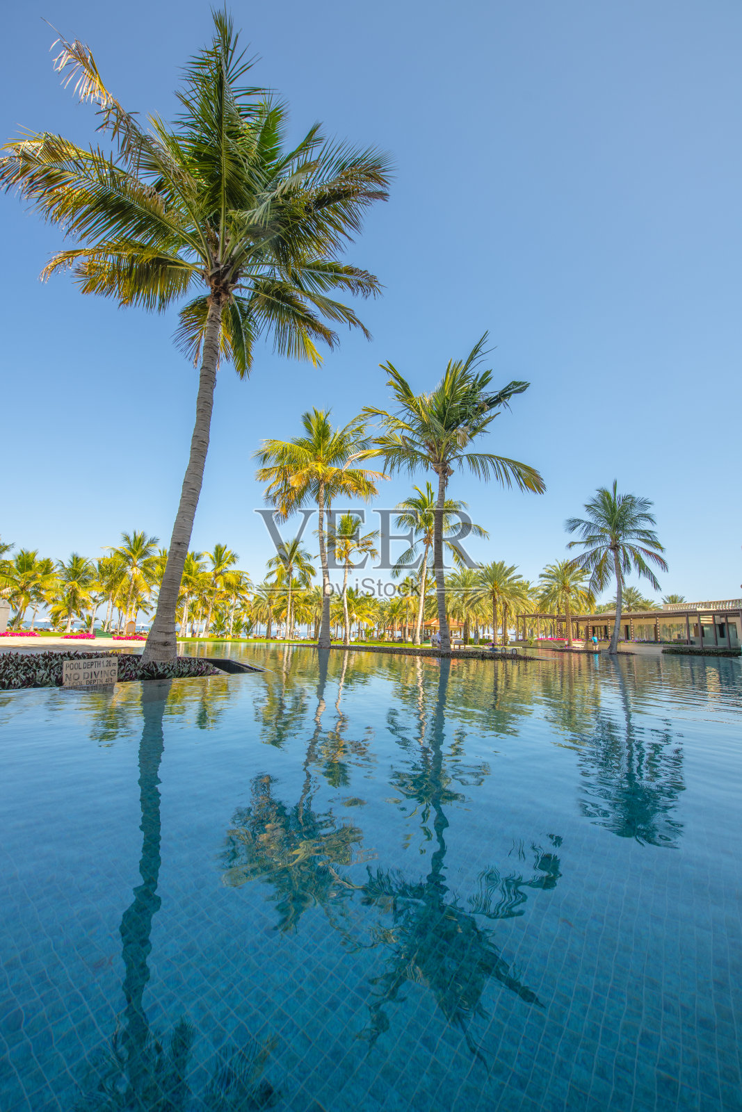 阿曼假日风光照片摄影图片