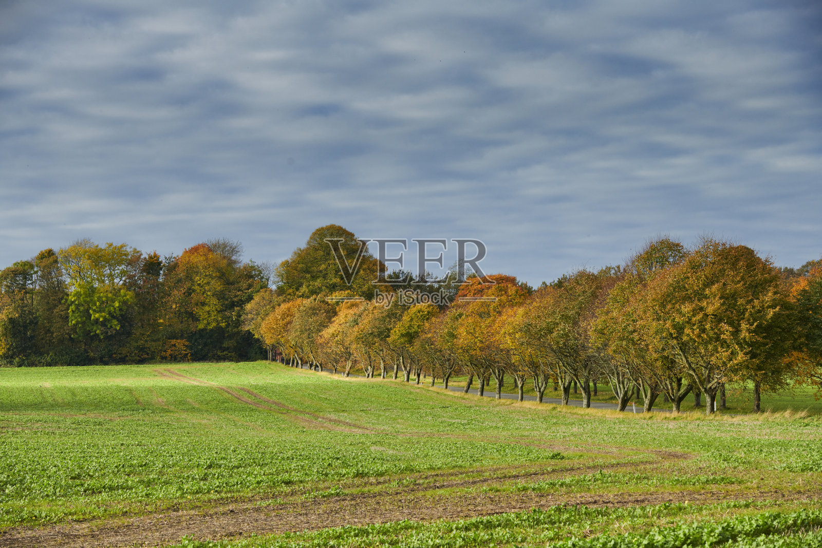 美丽的秋天照片摄影图片
