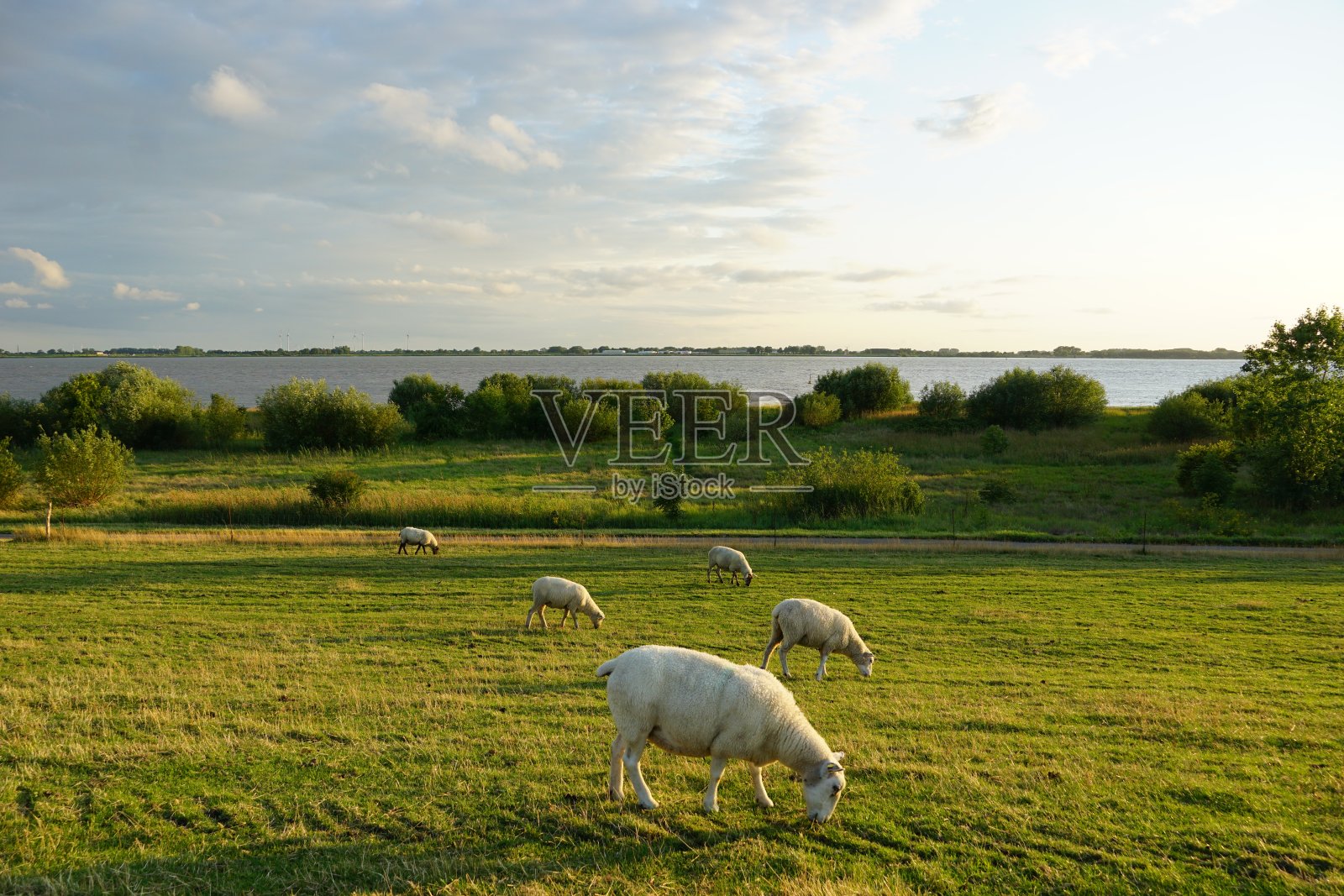 石勒苏益格-荷尔斯泰因州易北河上的典型风景照片摄影图片