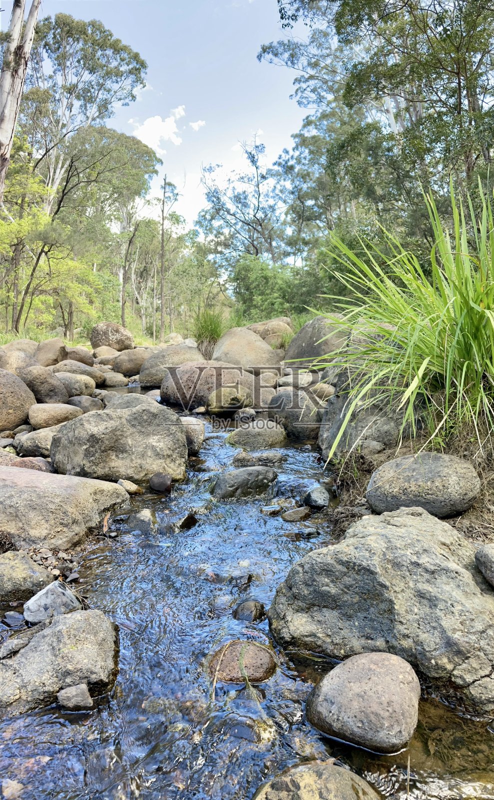 洛根河上游照片摄影图片