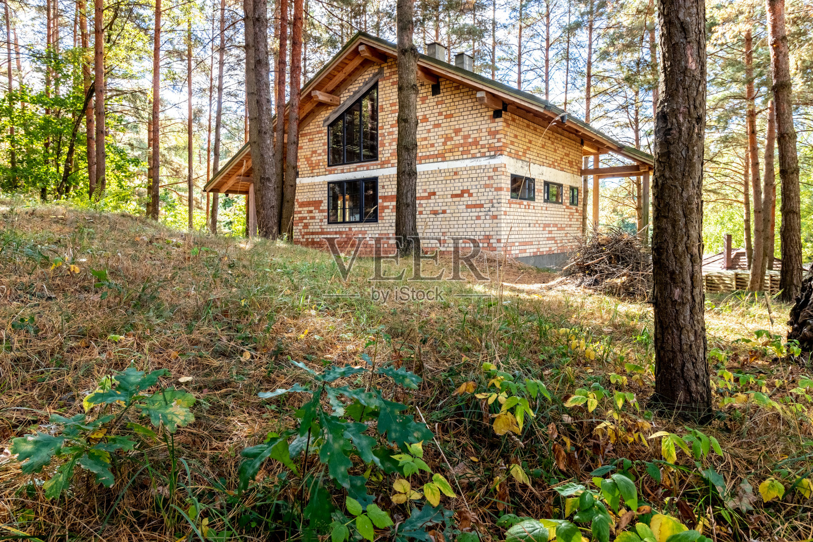 在一个阳光明媚的秋日，松树林中正在建造的房子照片摄影图片