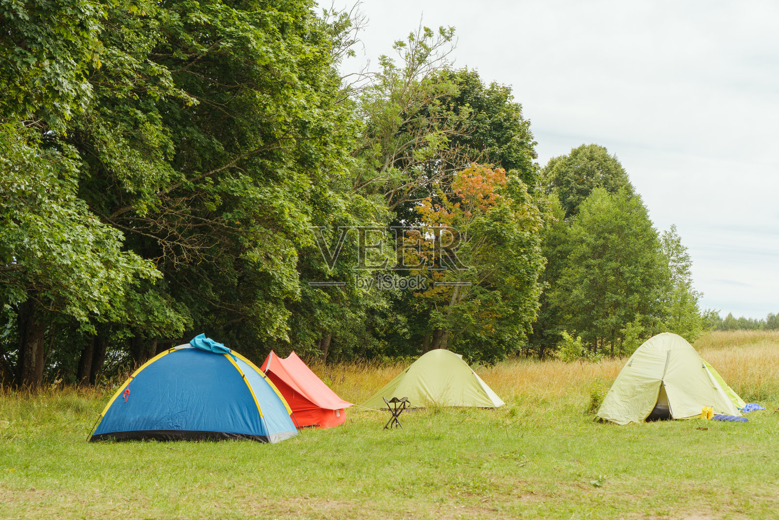 不同颜色的帐篷在未受破坏的自然环境中搭建起来，站在草甸上，靠近郁郁葱葱的绿色植物，周围没有人。照片摄影图片
