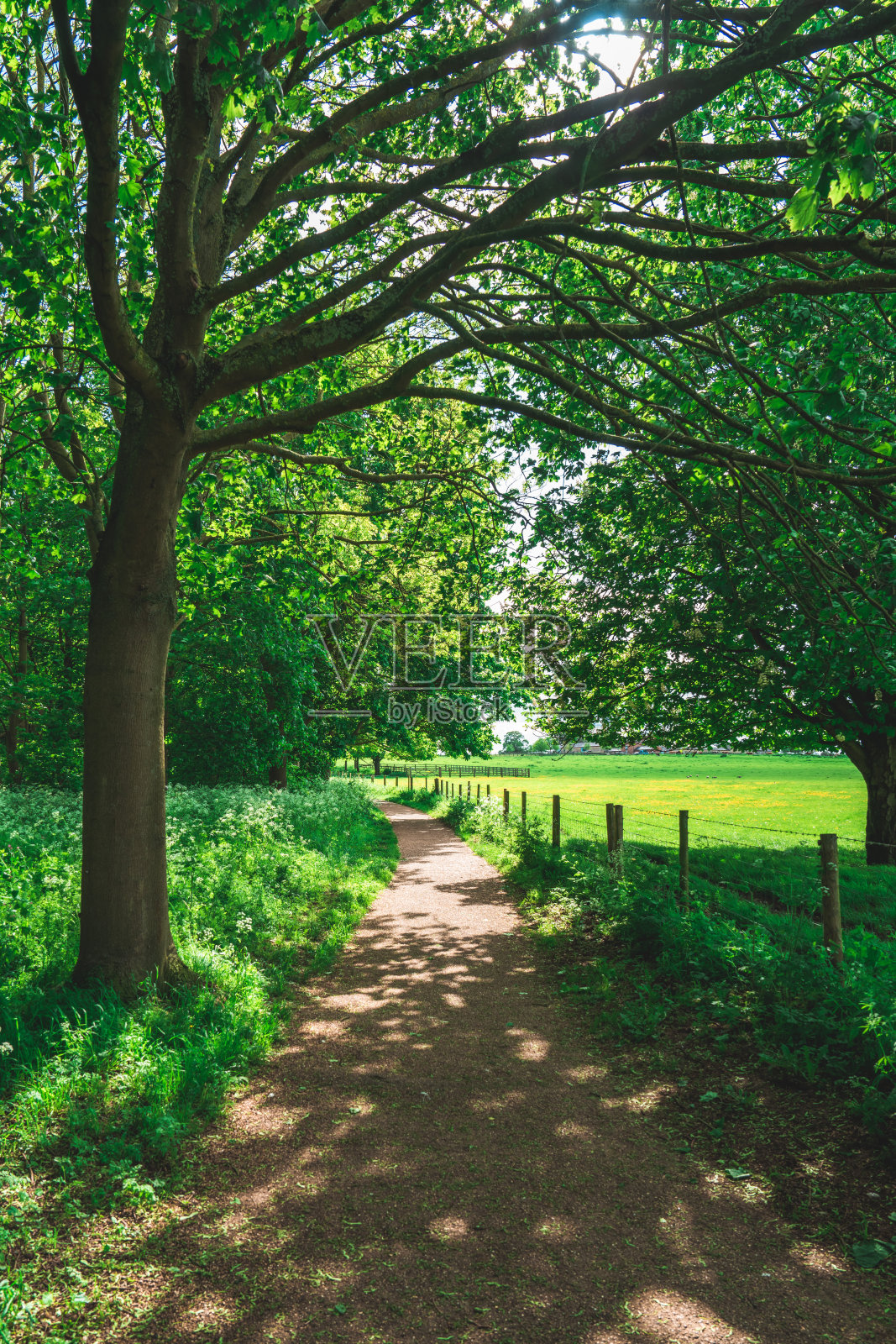 英国欧斯谷公园的碎石小径照片摄影图片