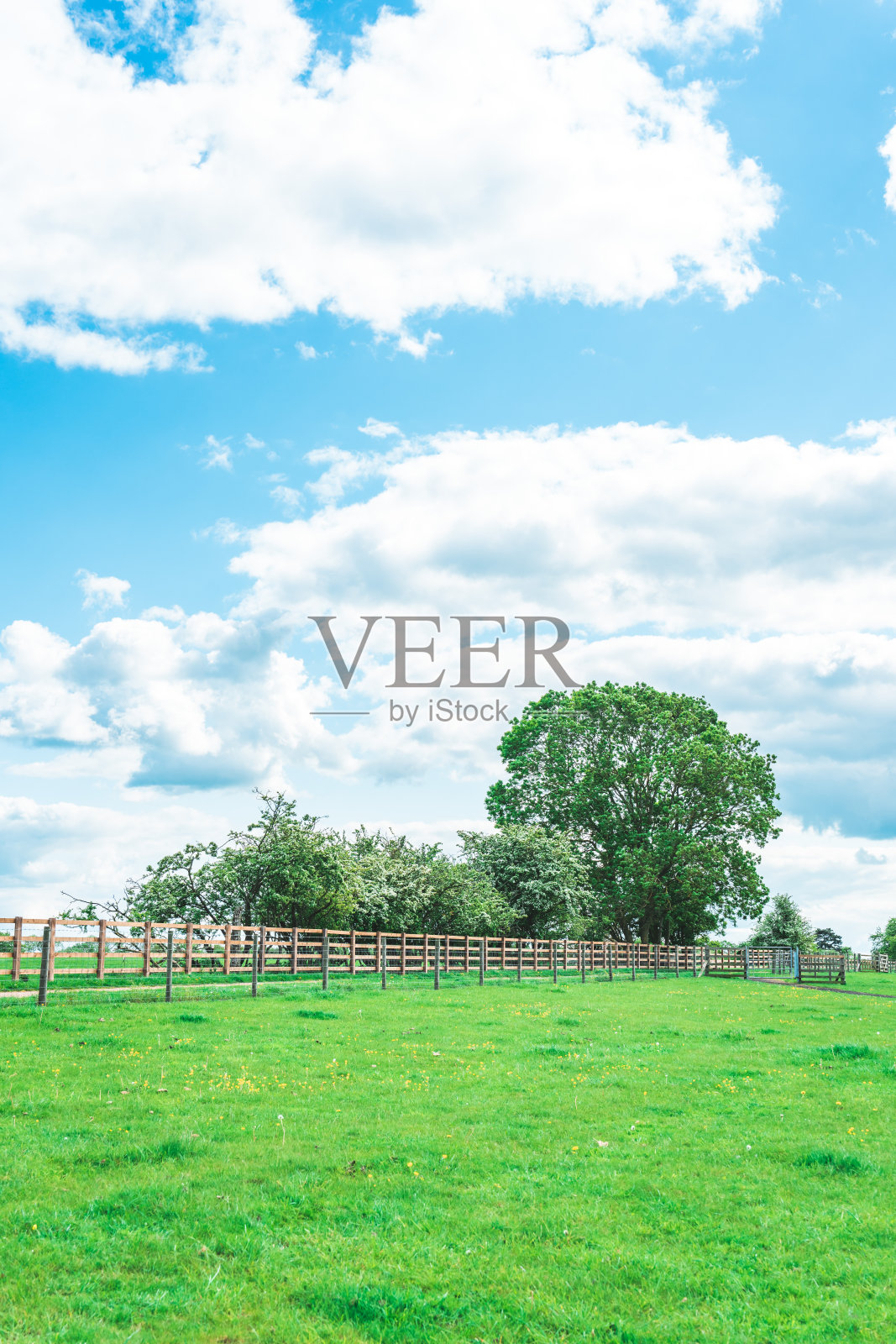 英国欧斯谷公园的夏季景观照片摄影图片