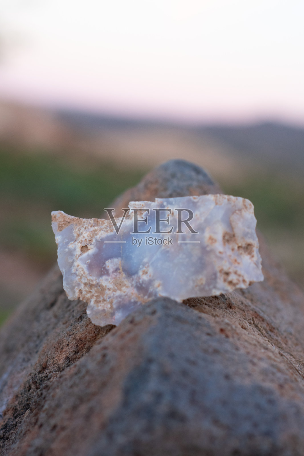 索诺兰沙漠仙人掌照片摄影图片