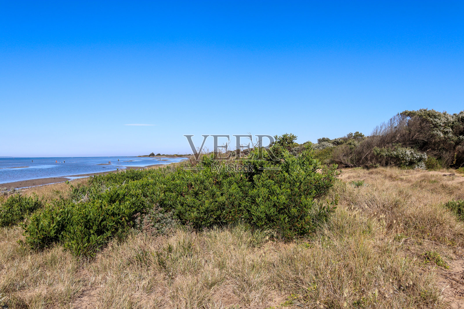 海滩和沙丘照片摄影图片