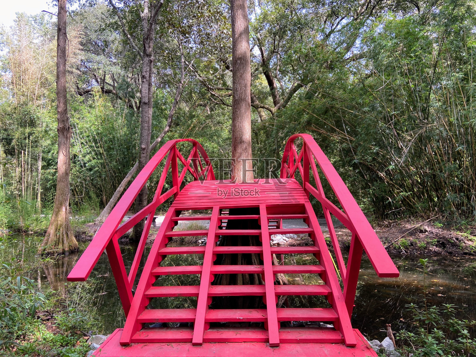 南卡罗来纳州查尔斯顿的木兰种植园和花园照片摄影图片