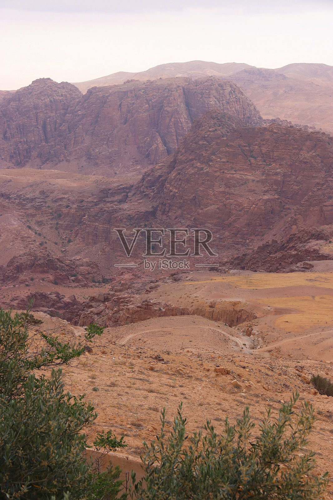 约旦佩特拉Wadi Musa岩层的晨景。照片摄影图片