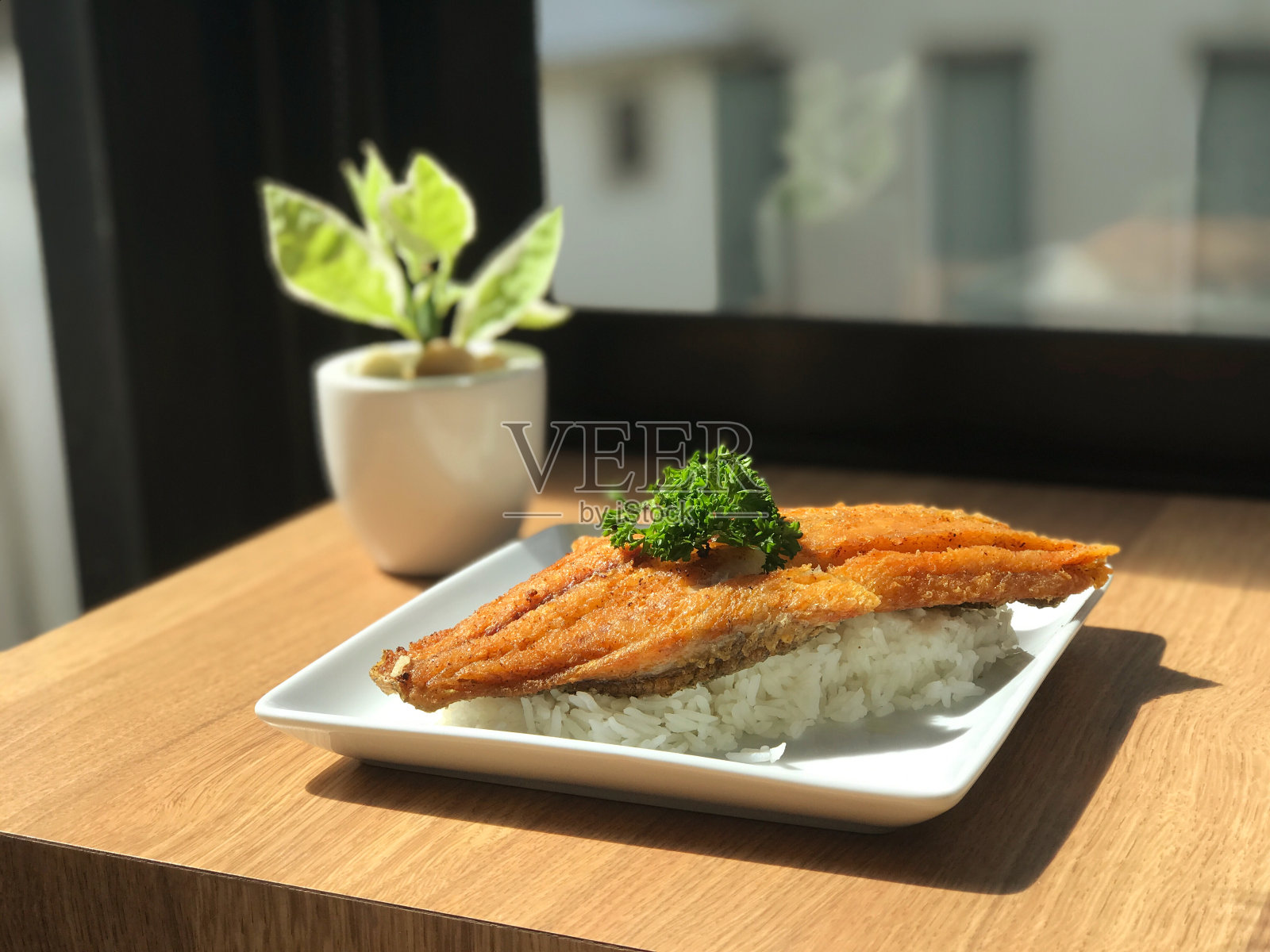 木桌上的白色盘子里放着炸鱼和米饭照片摄影图片