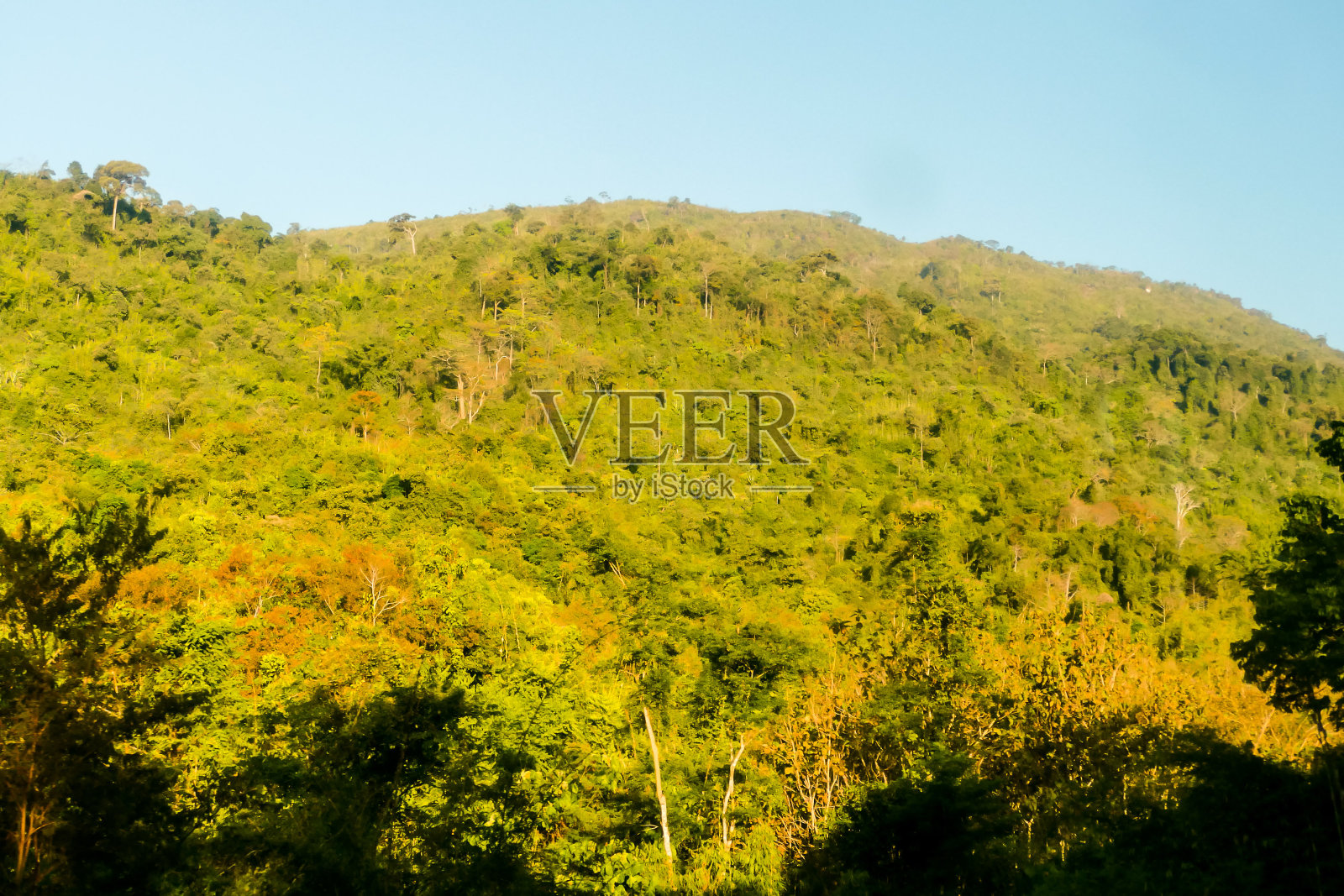 秋天的风景与树木和蓝天，数码照片的图片为背景，拍摄于琅勃拉邦，老挝，亚洲照片摄影图片