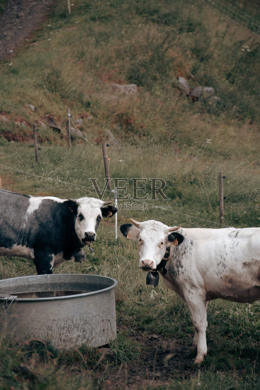 山照片摄影图片
