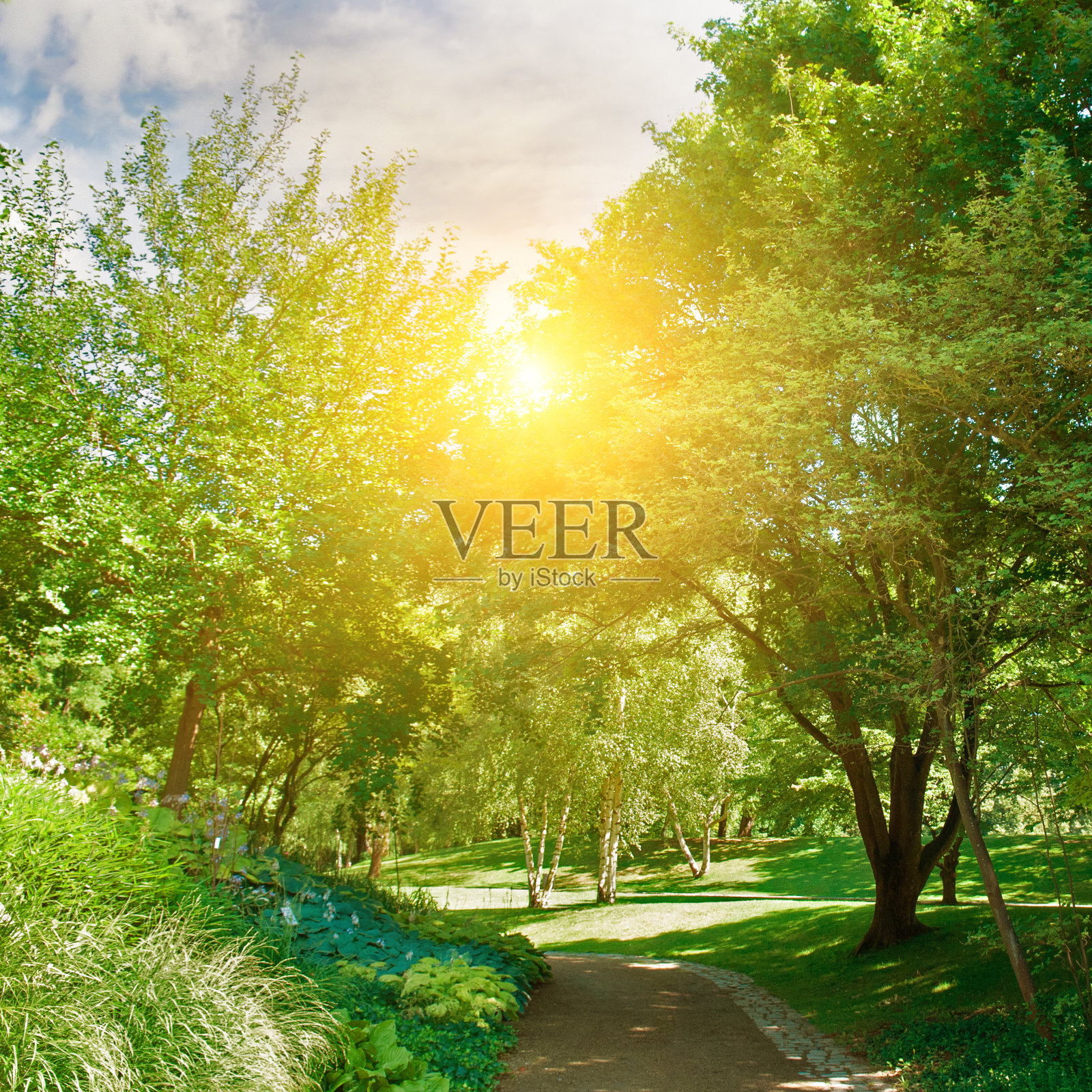 美丽的城市花园，有人行道和草坪。照片摄影图片