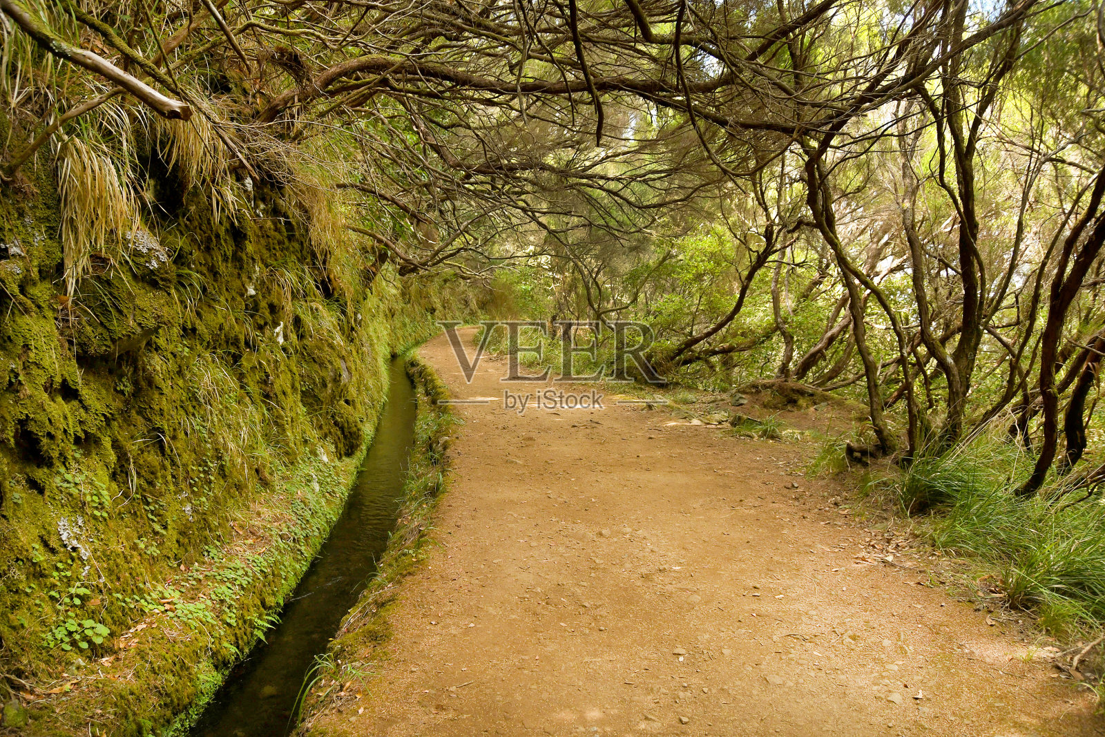马德拉山脉的勒瓦达水道边的徒步小径照片摄影图片