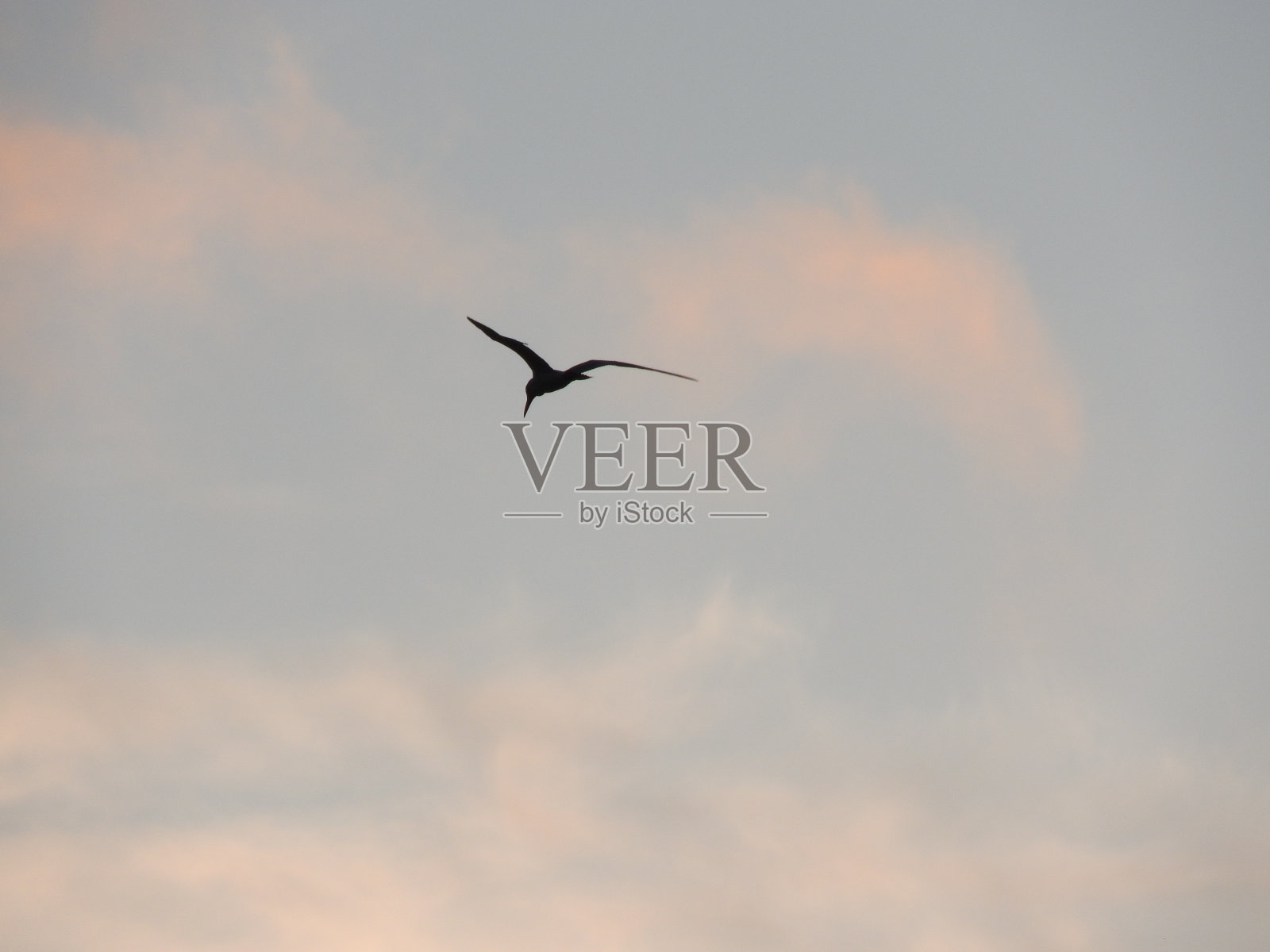 日落照片摄影图片