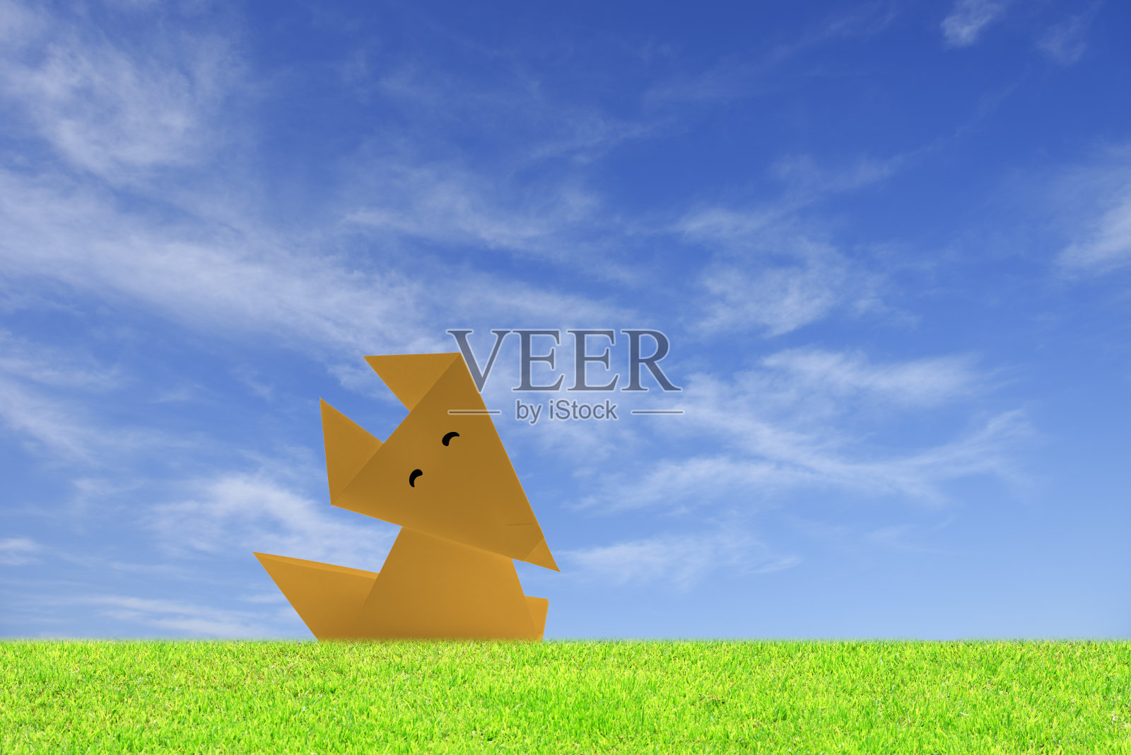 蓝天衬托下草地上的小狐狸照片摄影图片