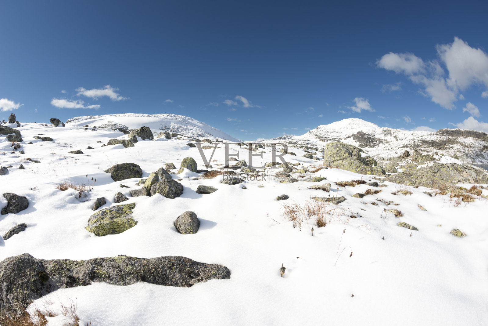 秋天的第一场雪给高山染上了色彩照片摄影图片