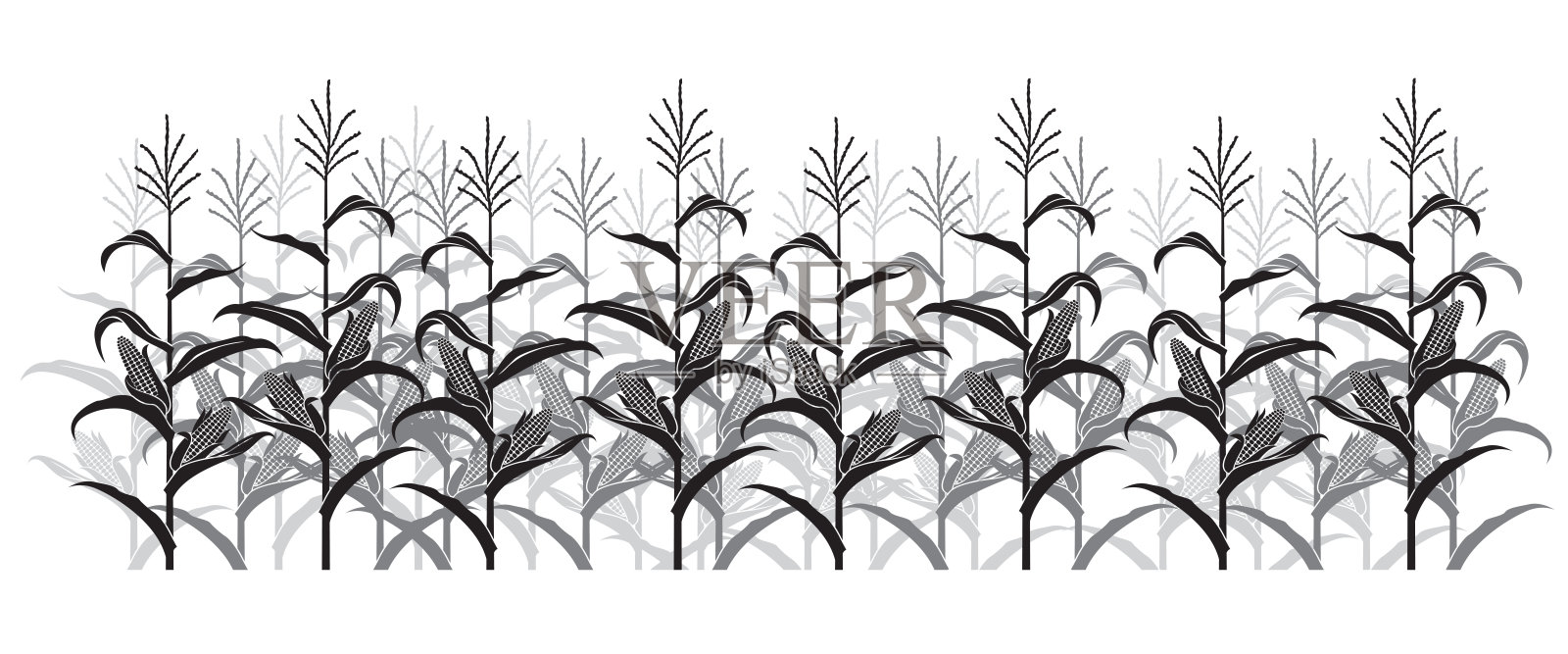 玉米田插画插画图片素材