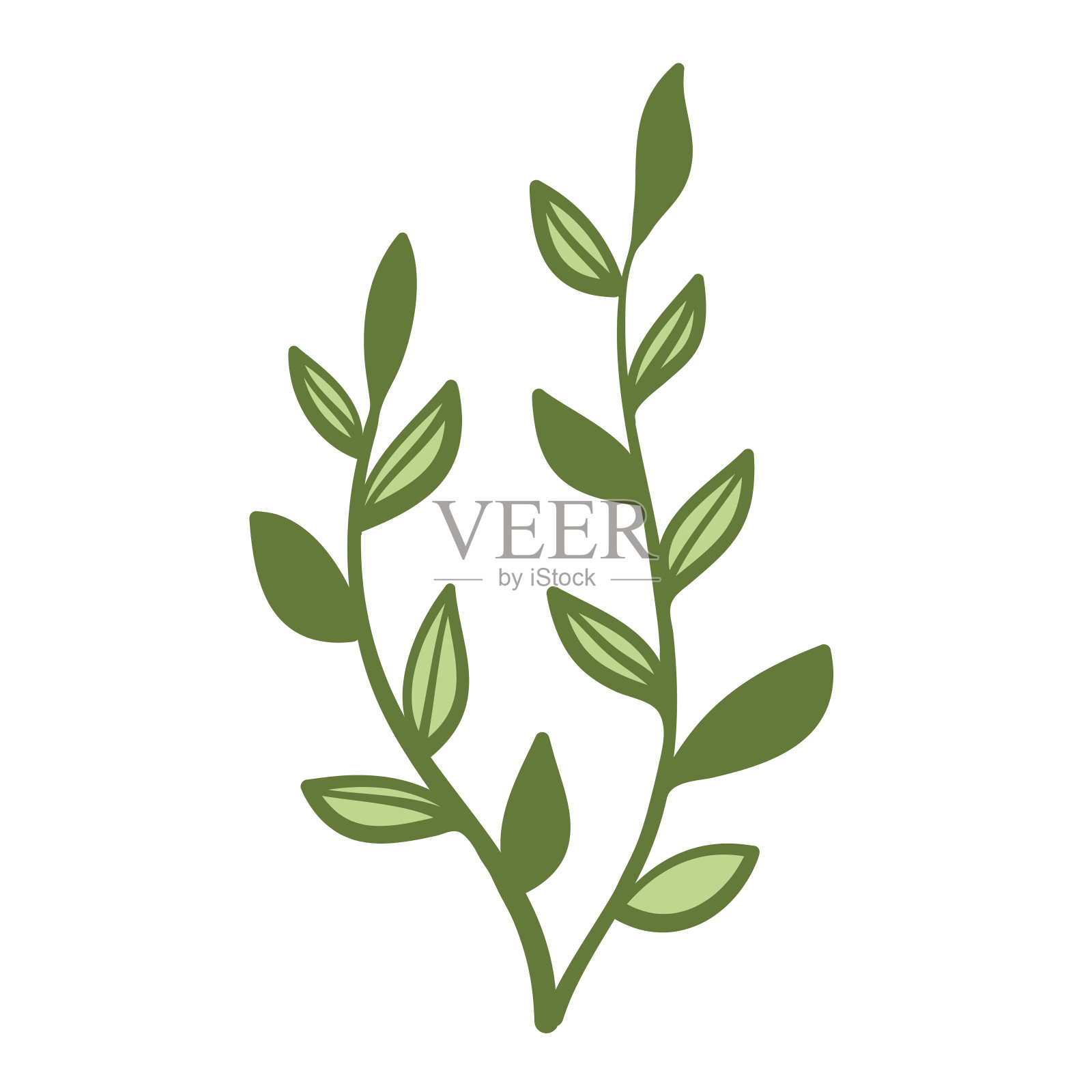 绿叶植物枝干艺术绘制设计插画图片素材