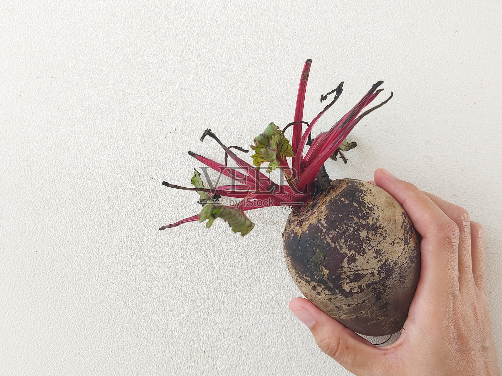 甜菜根的照片摄影图片