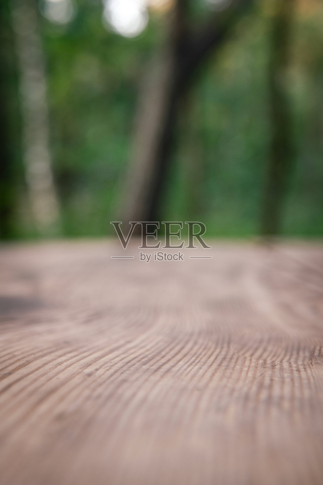 背景是空的木桌和树照片摄影图片