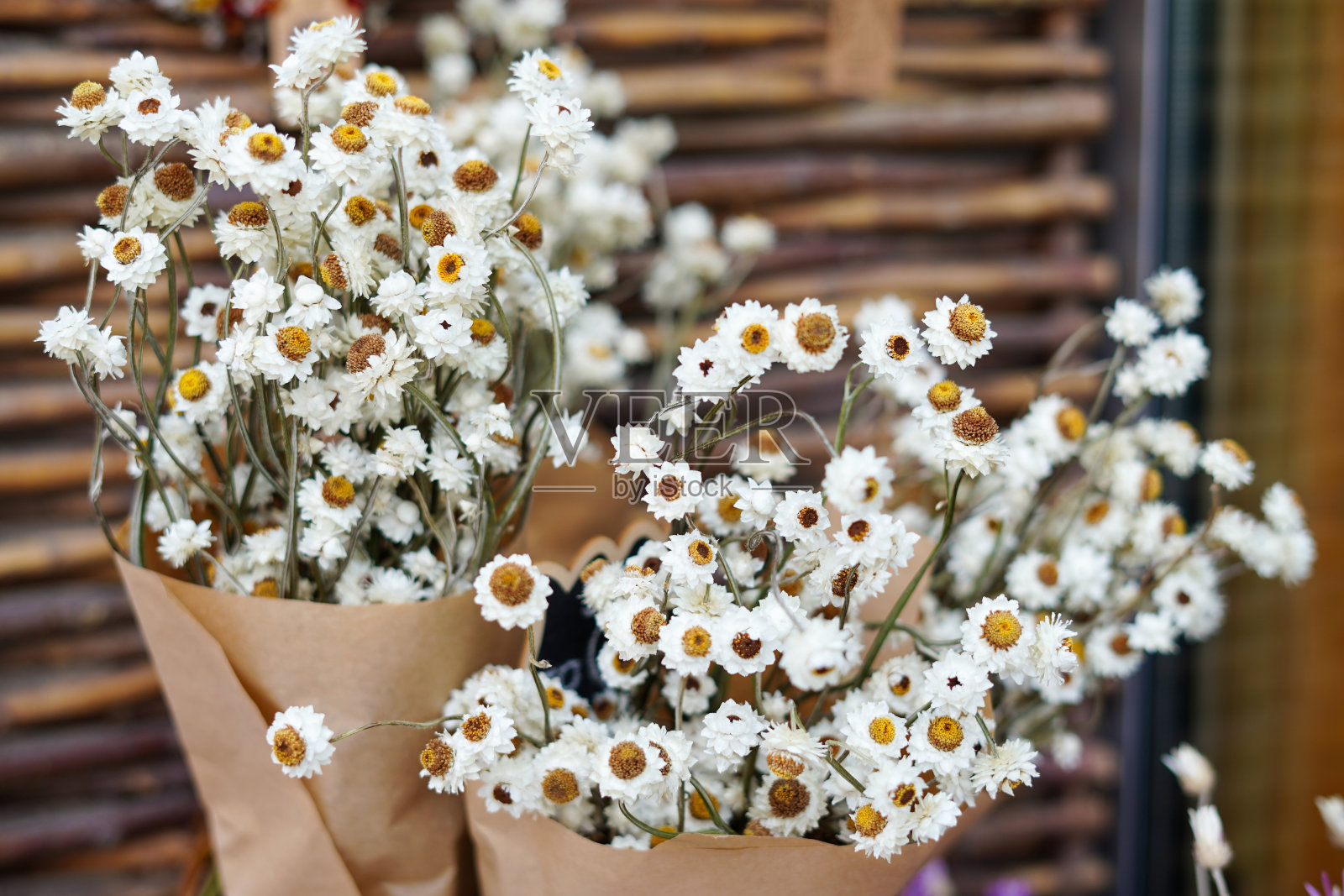 花店里的秋花干雏菊。秋季装饰照片摄影图片