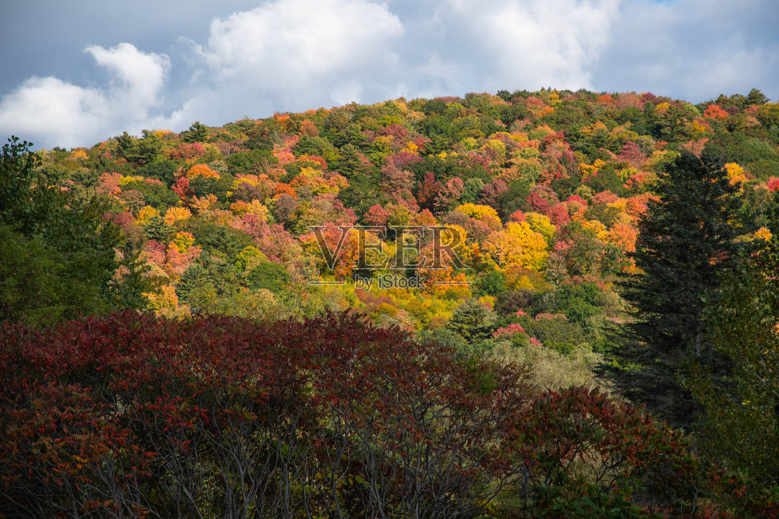 秋天的景色完美的天气天在黄金时间夕阳照片摄影图片
