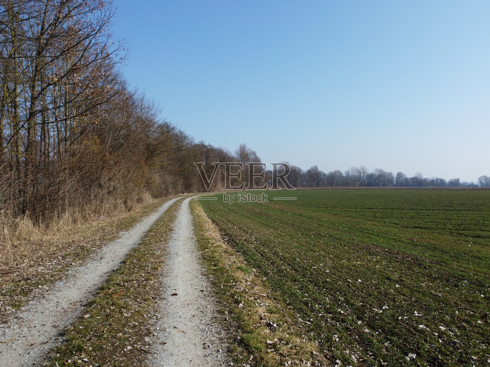 在一个阳光明媚的日子里，乡间小路穿过田野和森林照片摄影图片