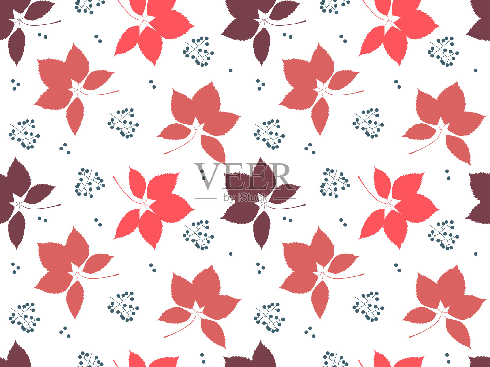 天衣无缝的秋叶图案，标本馆，落叶。插画图片素材