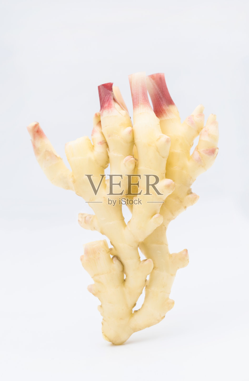 白色背景上的生姜蔬菜照片摄影图片