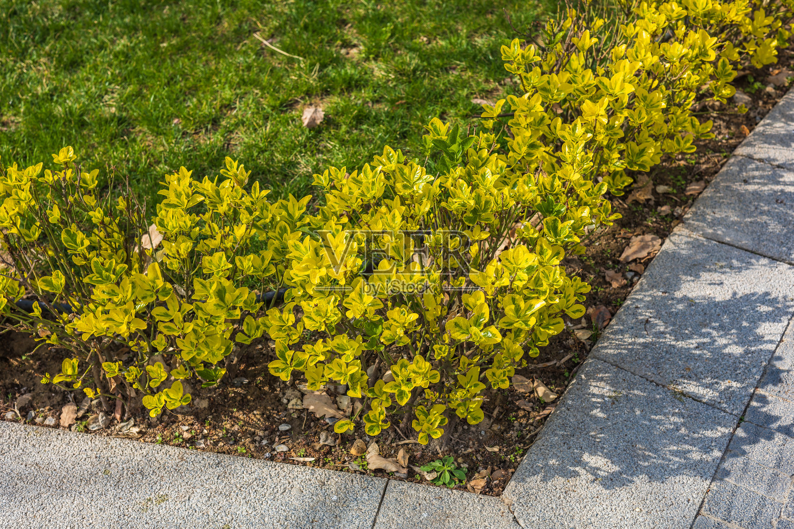 景观设计主题照片摄影图片