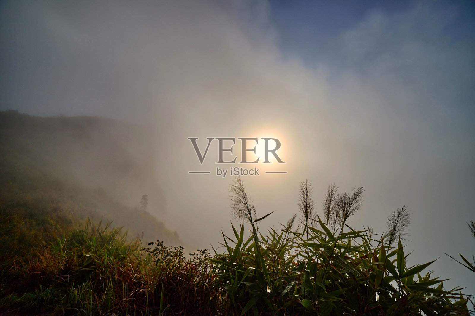 清晨的雾笼罩着泰国的普芝法山照片摄影图片