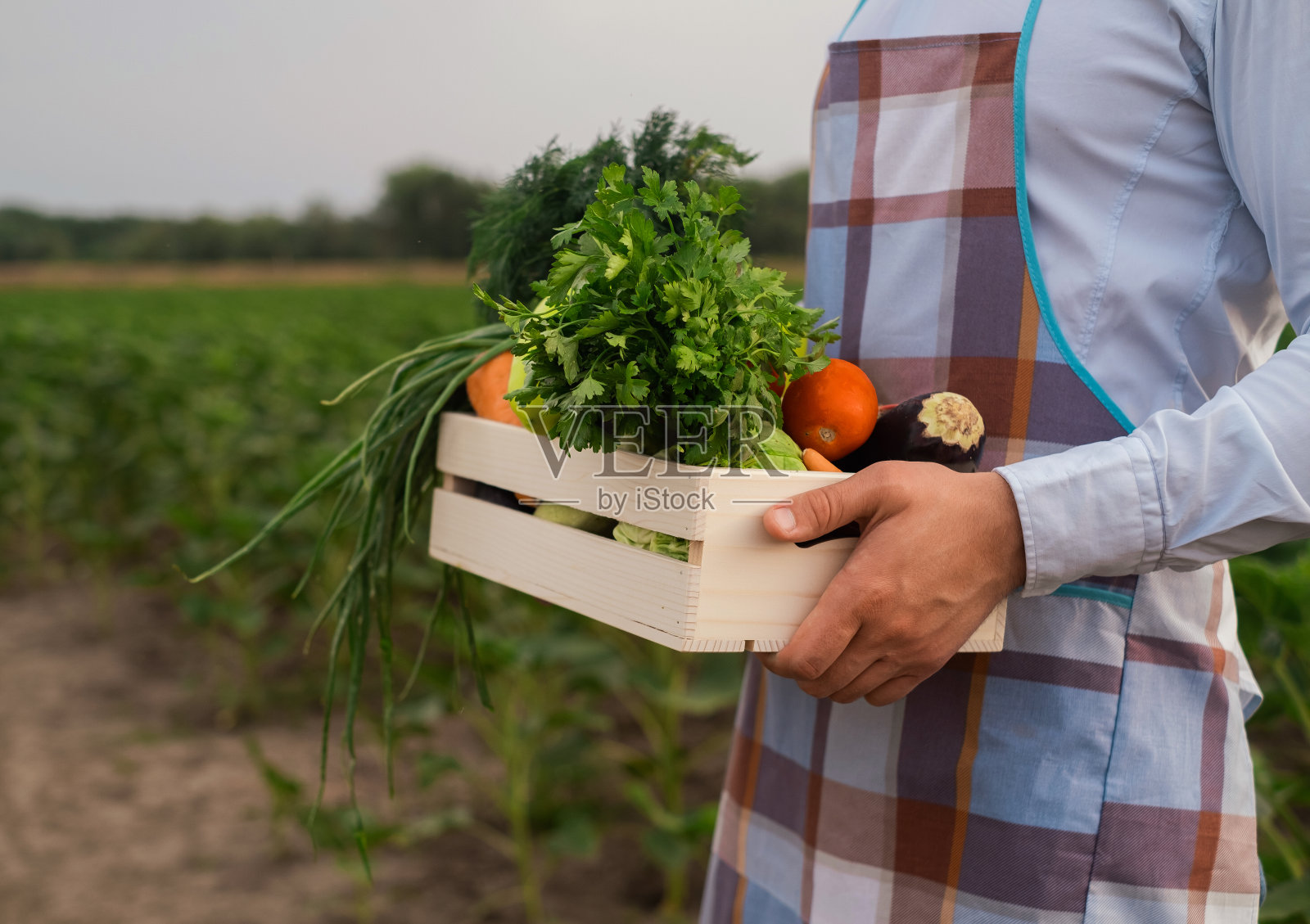 男农民拿着一个装有新鲜生蔬菜的木箱。篮子里有蔬菜(卷心菜、胡萝卜、黄瓜、萝卜、玉米、大蒜和辣椒)。照片摄影图片