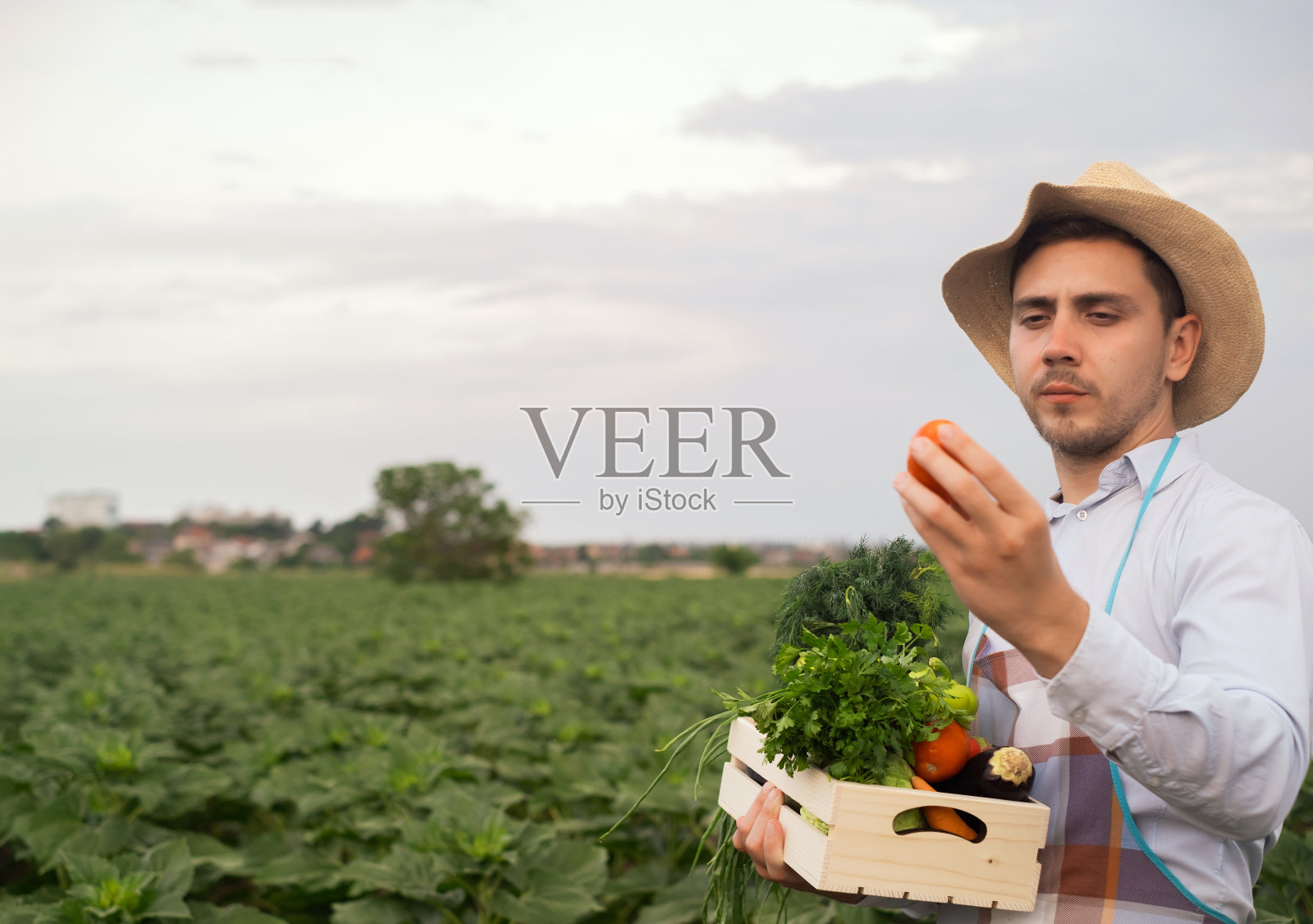 一个快乐的年轻农民的画像，篮子里装着新鲜的蔬菜。以自然为背景的生物理念，生物制品，生物生态，亲手种植，素食，沙拉健康照片摄影图片