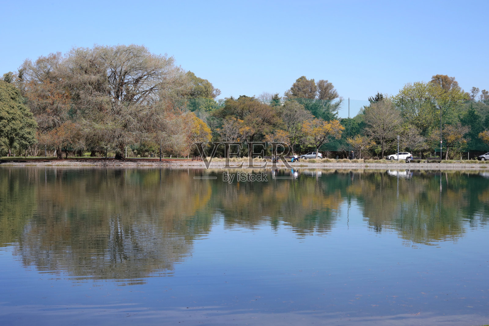 春天的反映照片摄影图片