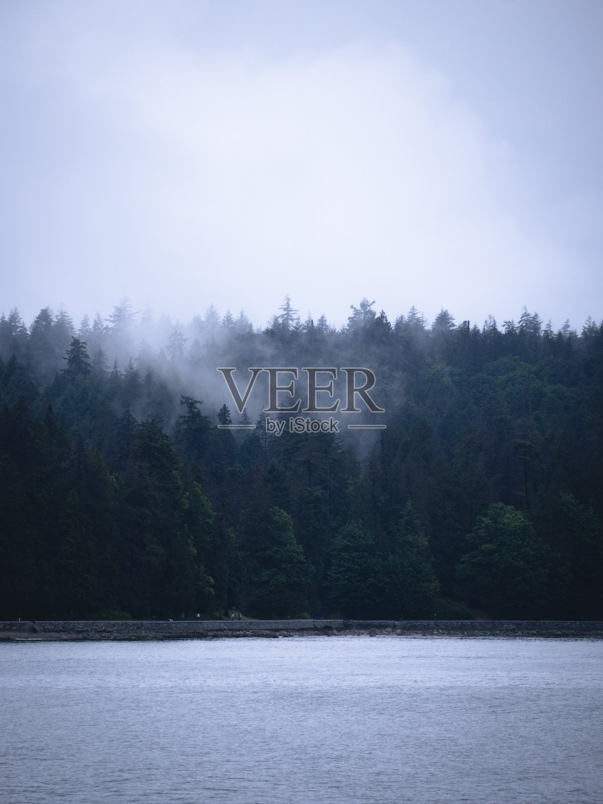 赤柱公园的大自然照片摄影图片