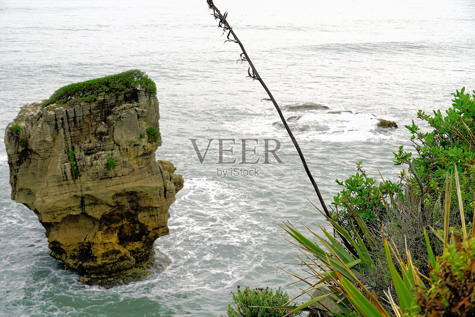 新西兰南岛照片摄影图片
