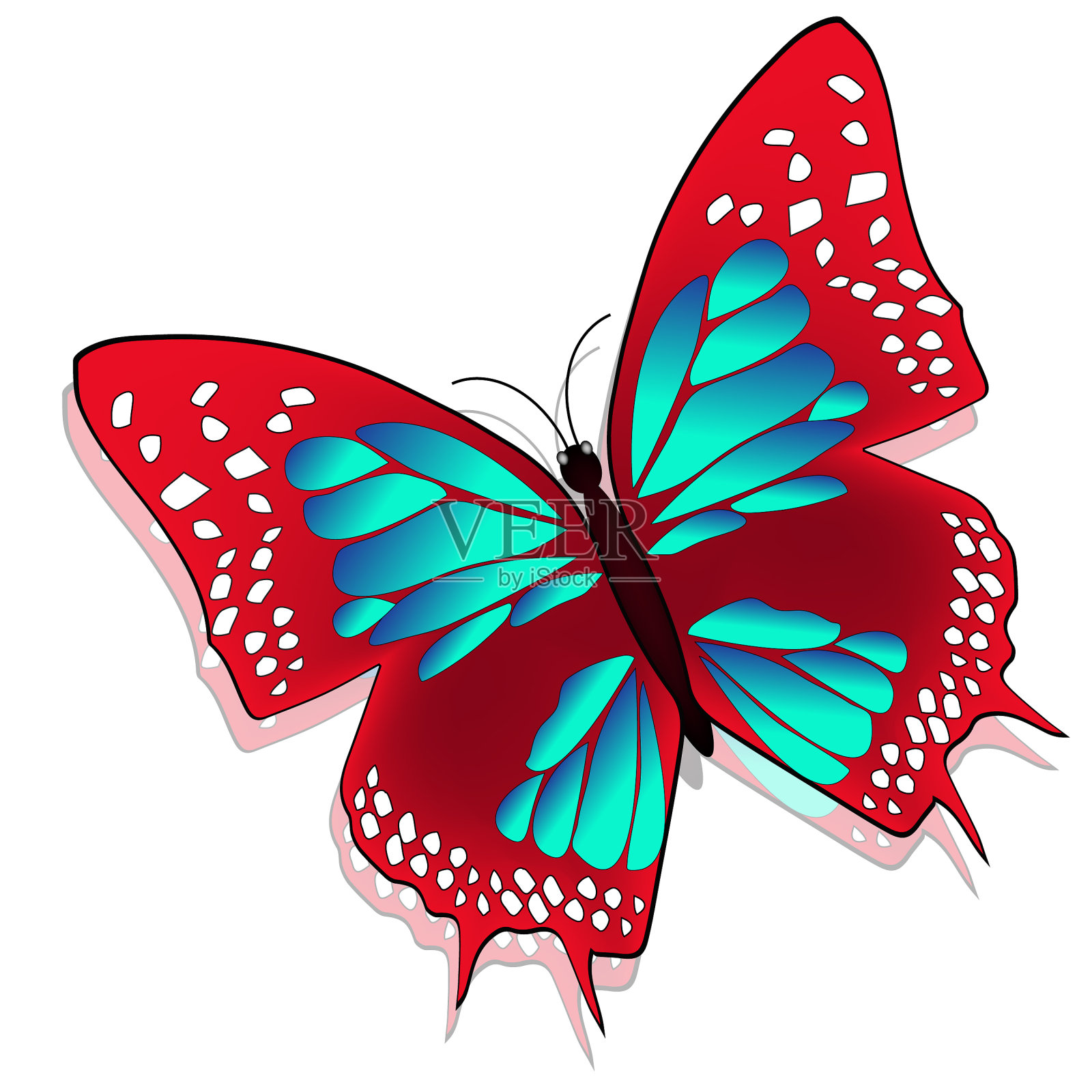 美丽的蝴蝶插画图片素材