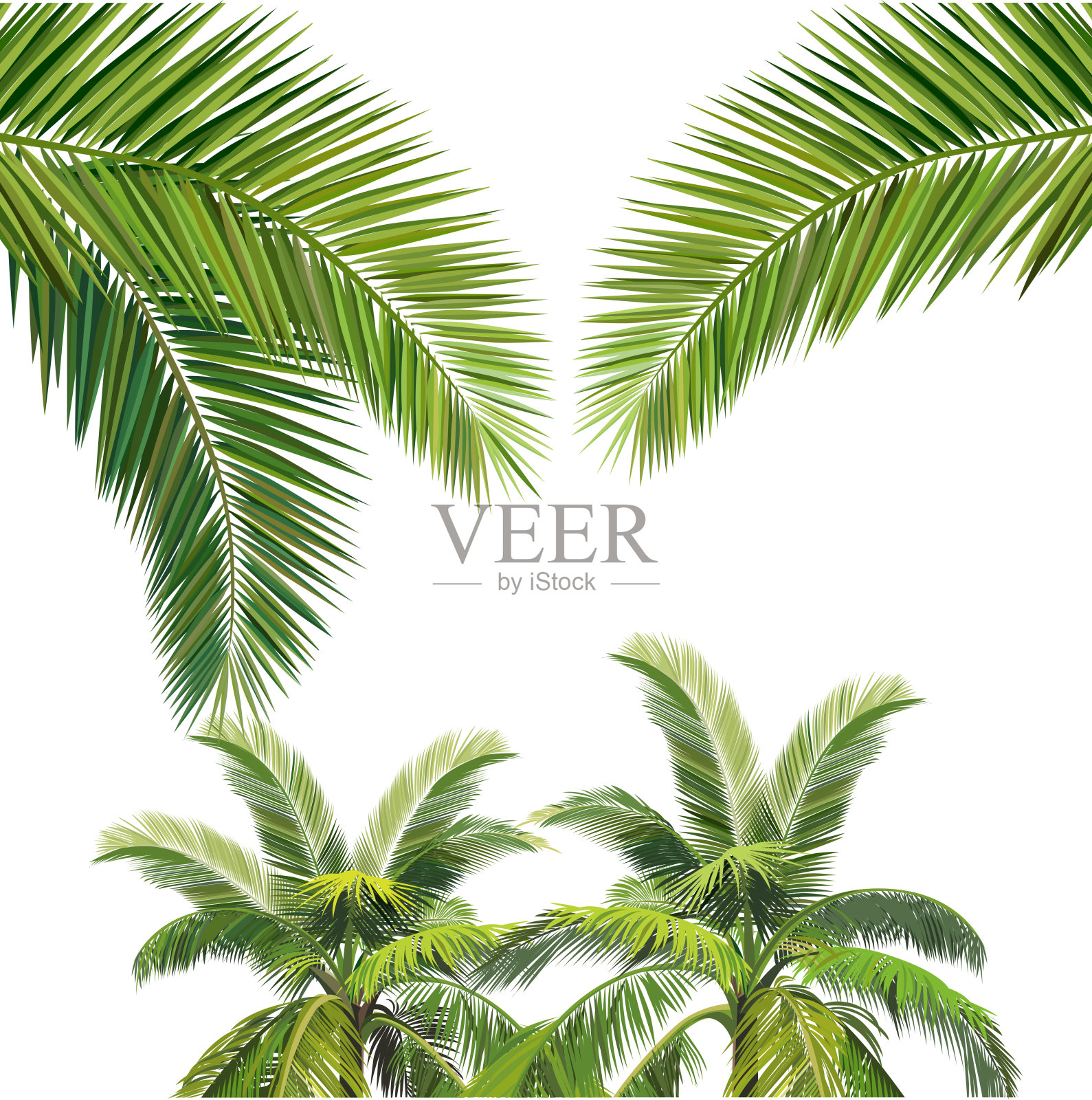 波洪克拉帕矢量插画图片素材