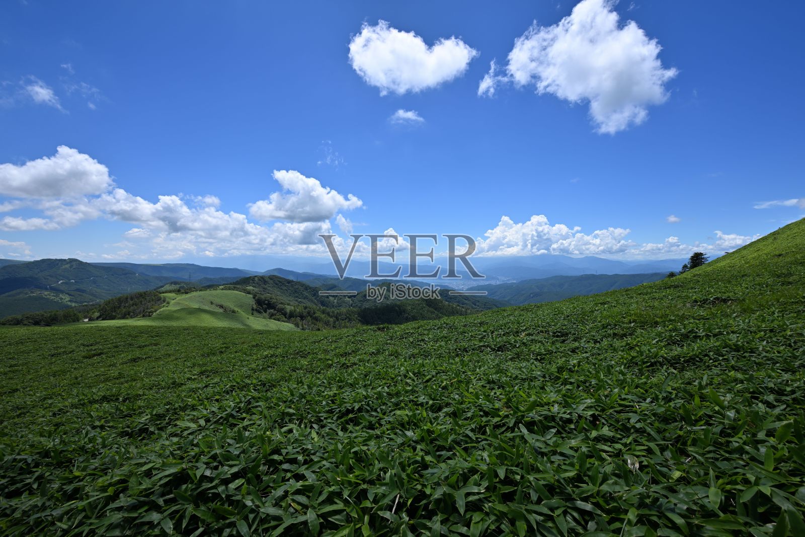 在一个阳光明媚的日子里，绿色山脉的美景照片摄影图片