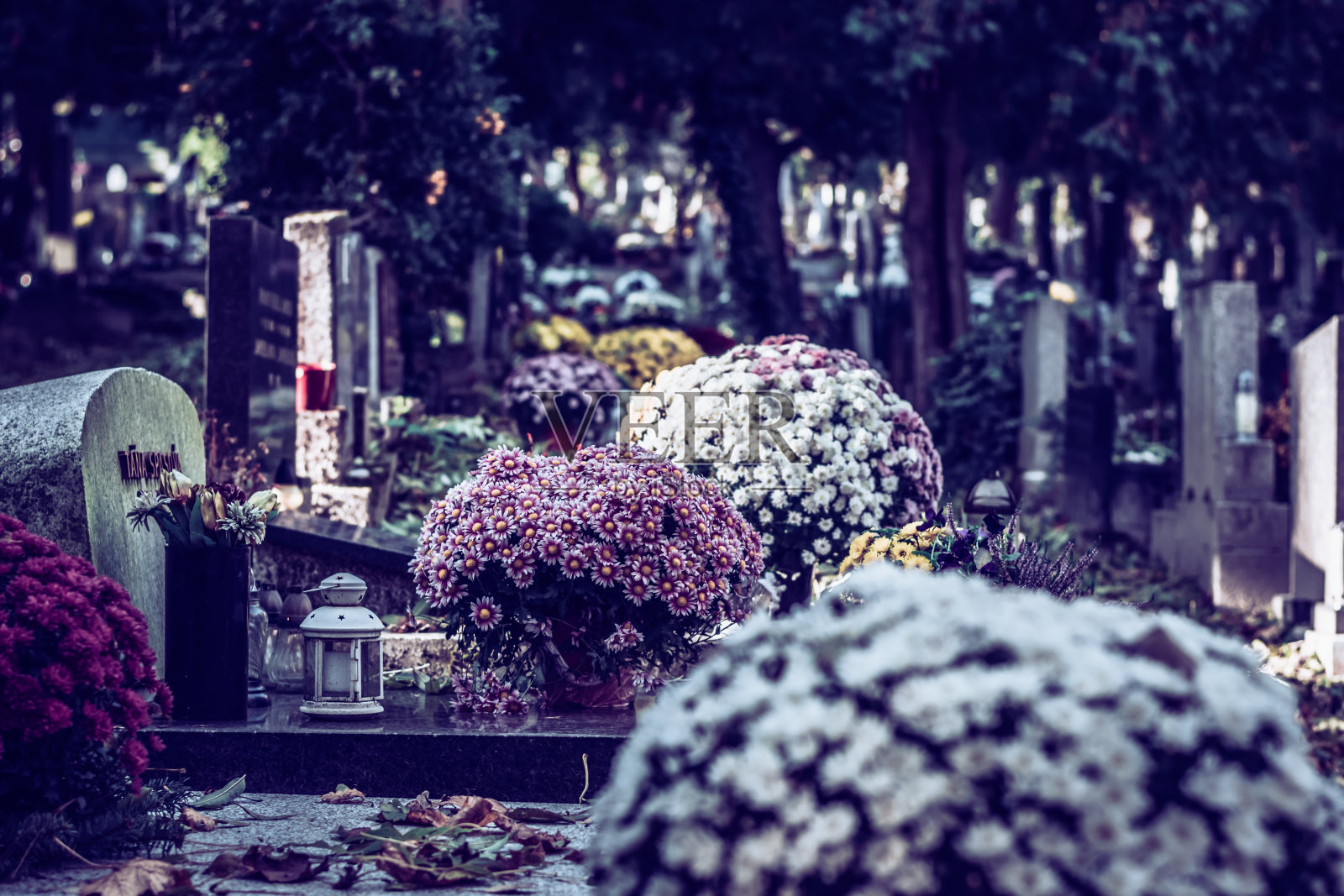 万圣节墓地怀旧秋色照片摄影图片