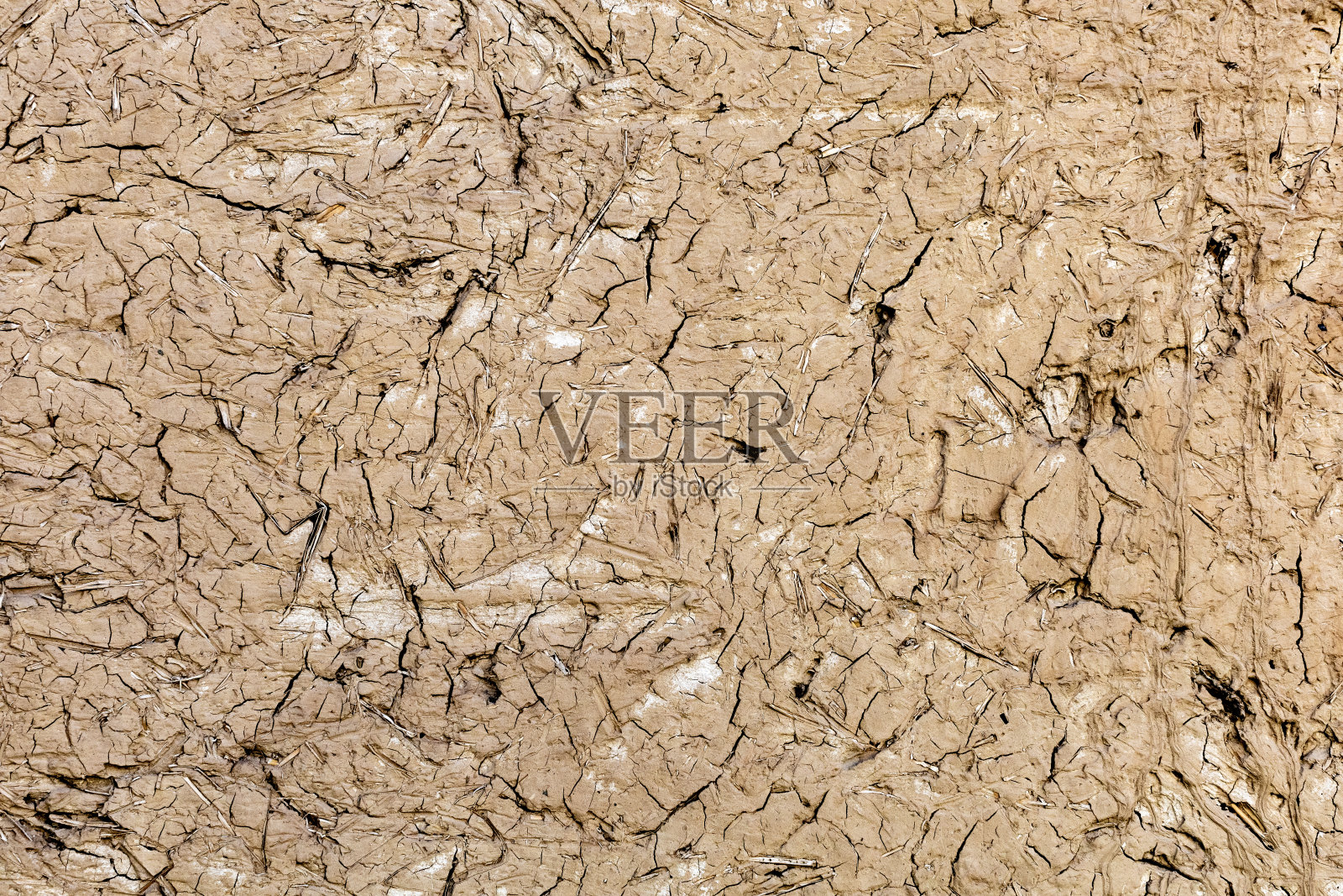 纹理石膏背景为设计创建背景或纹理照片摄影图片