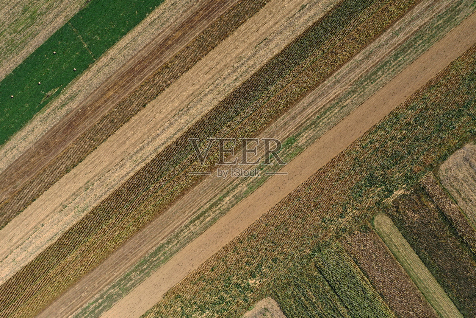 鸟瞰农田，农艺产业。无人机航拍图照片摄影图片