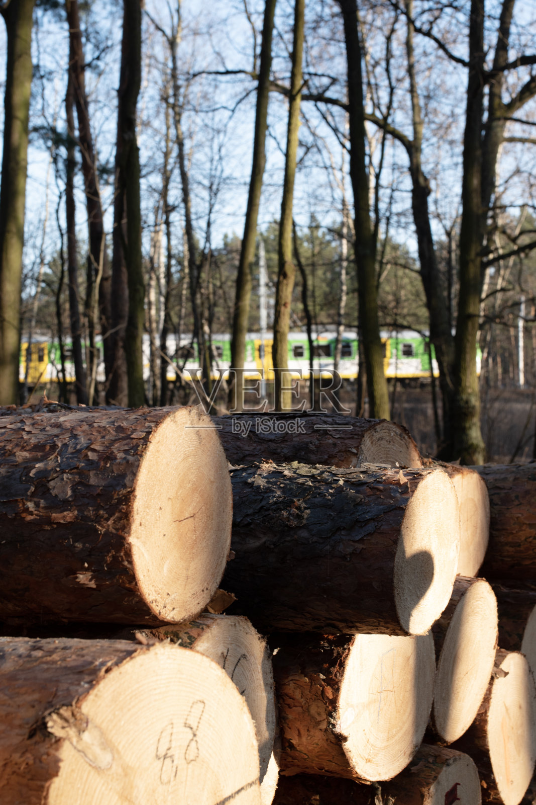 森林里的一堆木梁照片摄影图片