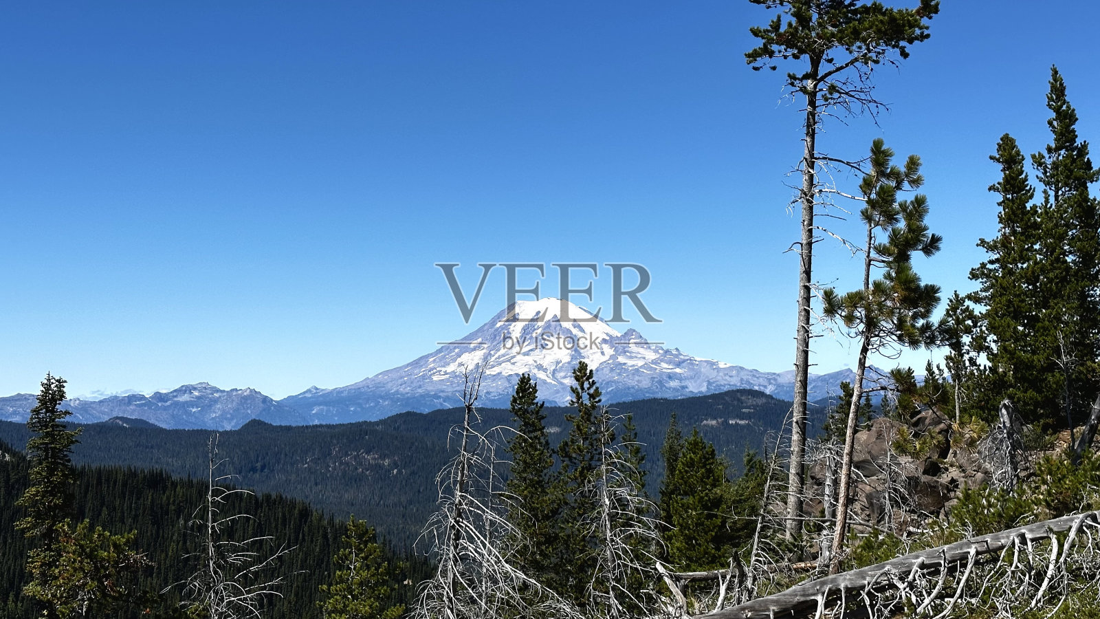 从圆山到雷尼尔山照片摄影图片