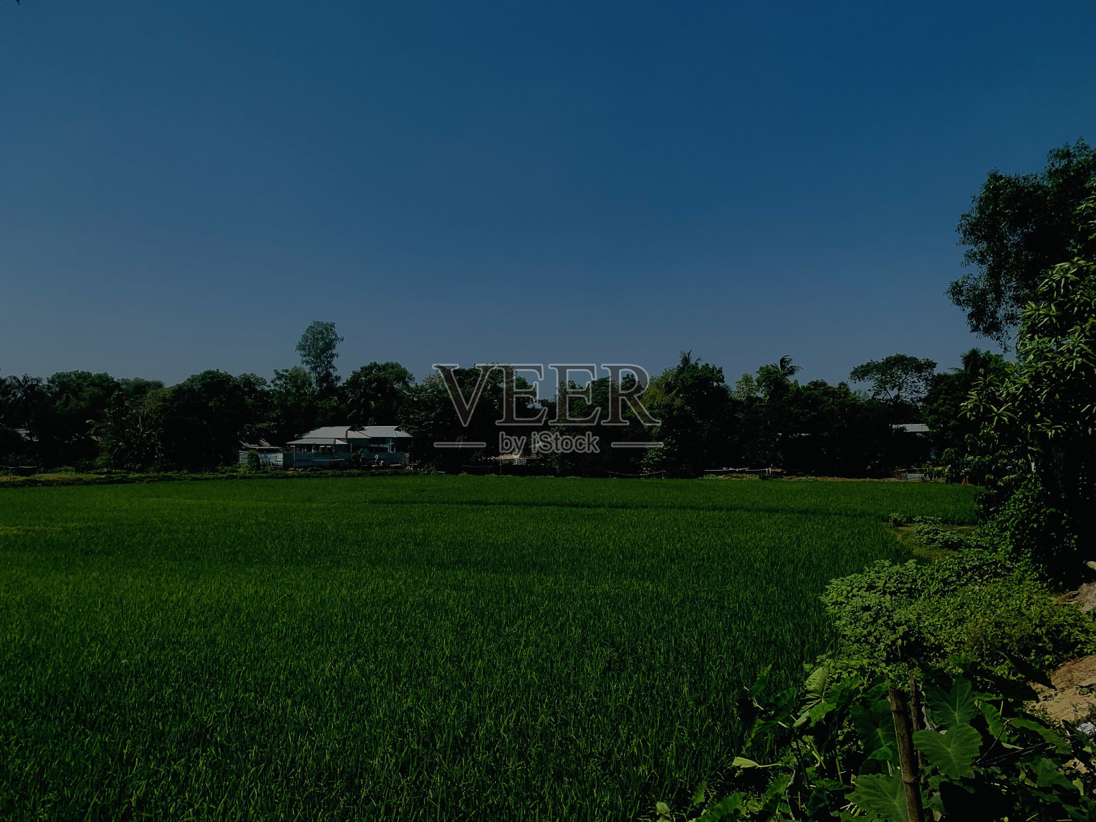 村庄。照片摄影图片