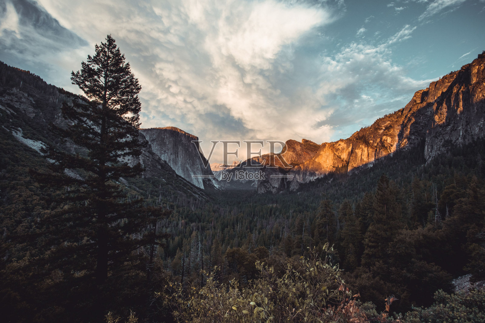 加州约塞米蒂国家公园的山景照片摄影图片